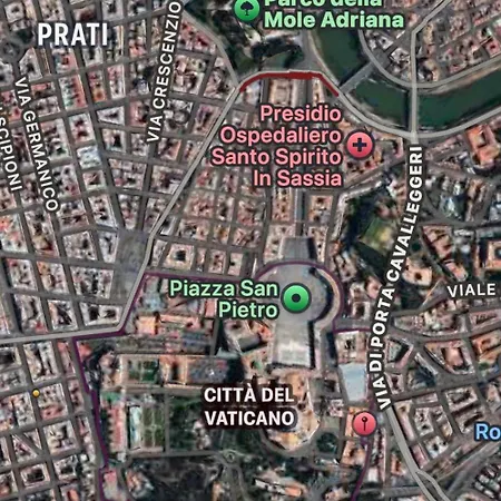 Vatican Fiore